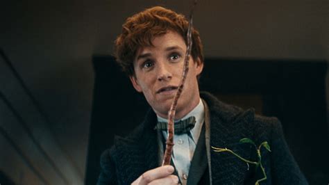 burberry eddie redmayne|who played newt scamander.